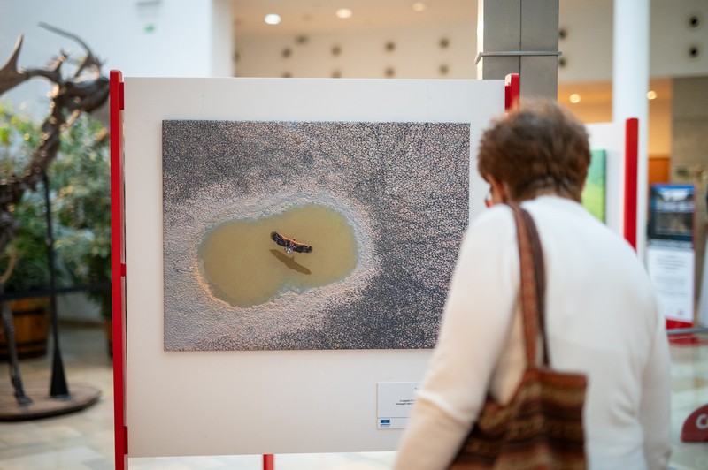 Természetfotókkal a vízi világért (12)