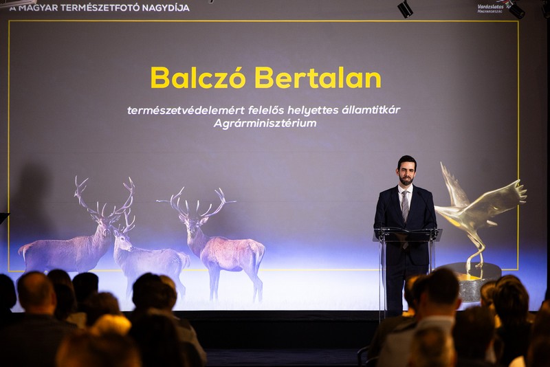 vm_dijatado_Balczó Bertalan