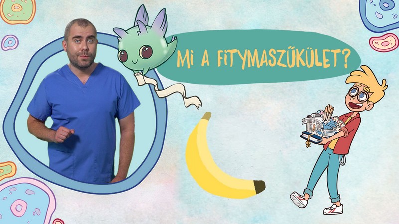 Kőnig doki_a fitymaszűkület (3)